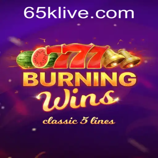 Exploring the World of BurningWins: A Game Like No Other