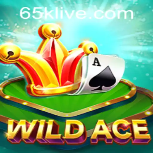 Exploring the Intriguing World of WildAce and the 65k PH Login